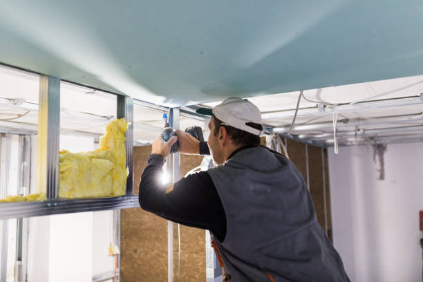 Types of Insulation We Offer in Carbondale, CO