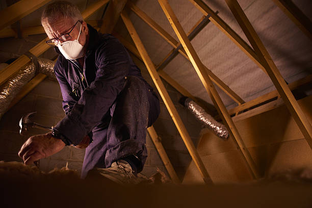 Best Fiberglass Insulation in Carbondale, CO